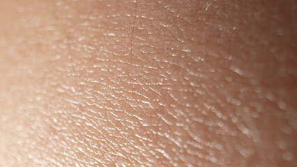 Fototapeta premium Zooming in on arm skin, witness a world of textures, from fine wrinkles to tiny follicles, in mesmerizing macro detail. 