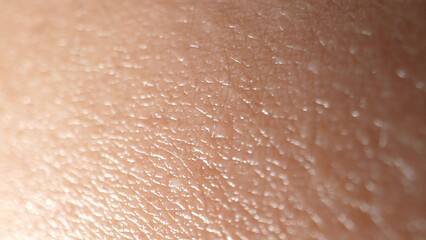 Zooming in, the arm's surface transforms into a mesmerizing mosaic of pores, lines, and textures,...