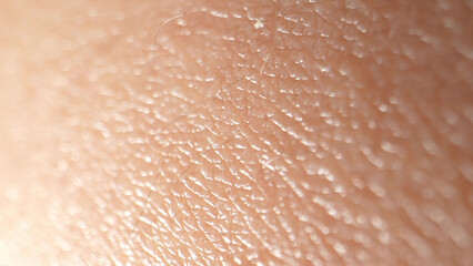 In mesmerizing macro, arm skin reveals a labyrinth of tiny pores, hairs, and imperfections,...