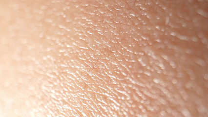 The arm's surface skin, seen in macro, showcases a complex network of epidermal cells, hair...
