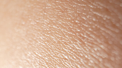 Zooming in, the arm's skin becomes a captivating tapestry, highlighting every crevice, wrinkle, and...