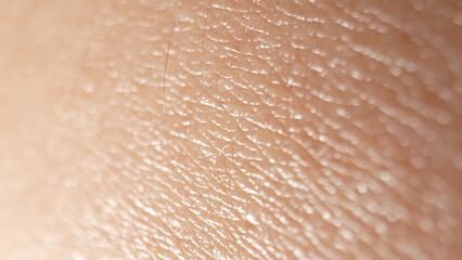 Fototapeta premium Zooming in, the arm's skin becomes a captivating tapestry, highlighting every crevice, wrinkle, and blemish, offering a glimpse into the complexity of our body's largest organ. 