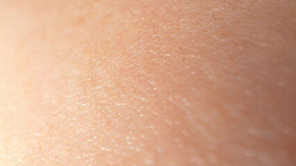 Detailed macro reveals arm surface skin's delicate texture, with fine hair follicles and tiny sweat pores. 
