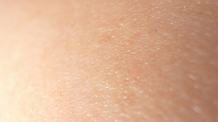 Fototapeta premium Examining arm skin in close-up detail through macro unveils the intricate network of blood vessels, collagen fibers, and melanin pigmentation, illustrating skin's vital role in health and protection. 