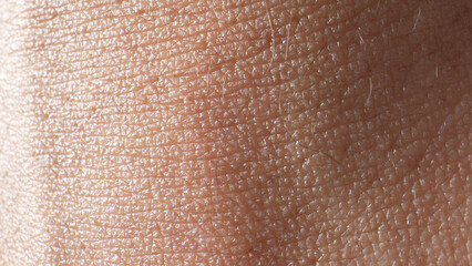 Zoom in, the arm's skin emerges as a landscape of tiny valleys and hills, each pore and hair...