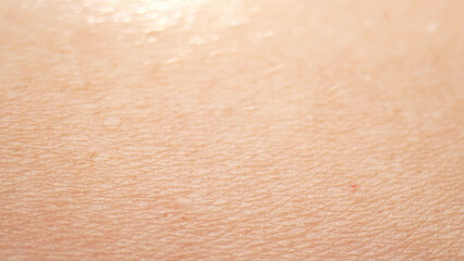 The arm's surface, a universe in itself. In macro, witness the labyrinth of fine lines, hair follicles, and the ever-changing topography. 
