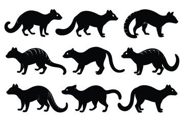 Set of Banded Palm Civet animal black silhouette vector on white background