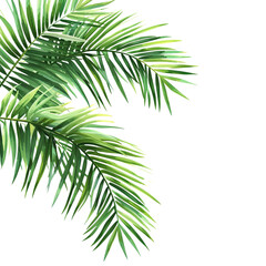 Naklejka premium Jungle Palm Branch Illustration on Transparent Background