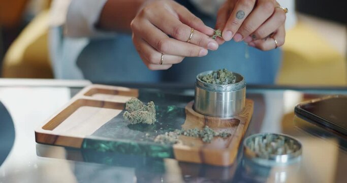 Hands, marijuana and person with grinder in home for smoke or rolling with joint for 420 at table. Cannabis, weed and drug abuse with natural or cbd plant with addiction, relief or high in Germany