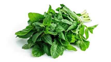 Fresh green mint bunch isolated on a white background