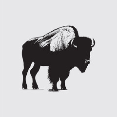 illustration of a buffalo