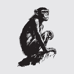 Black and White Vector Illustration of a Monkey