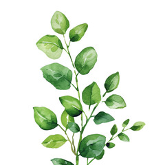 Obraz premium Simples Greenery in Watercolor Design Clipart on Transparent Background