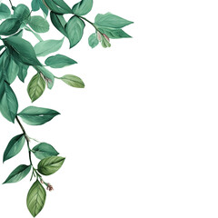 Vegan Themed Celadon Color Banner Background Image