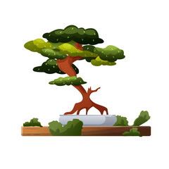 Bonsai tree in the pot and wooden table illustration