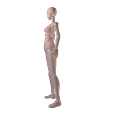 body human 3d mesh base