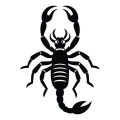 Solid color Bark Scorpion vector on white background