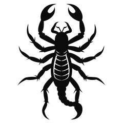 Solid color Bark Scorpion vector on white background
