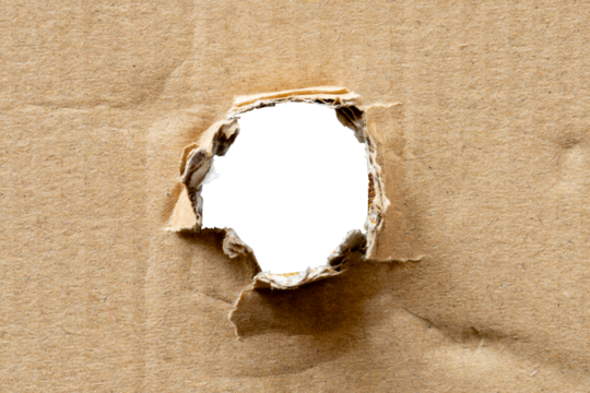 cardboard paper torn middle curved. realistic ripped paper with copy space and text