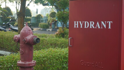 Fire Hydrant in Office Yard