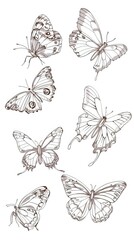 Butterfly continuous line drawing elements set isolated on white background, butterflies design, butterfly drawing