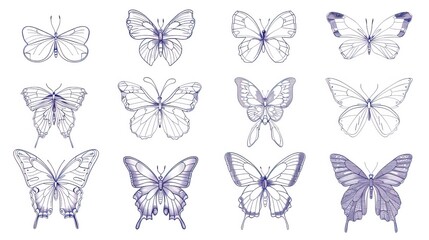 Butterfly continuous line drawing elements set isolated on white background, butterflies design, butterfly drawing