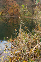 autumn day on a mountain lake of karst origin surrounded by a yellowing forest