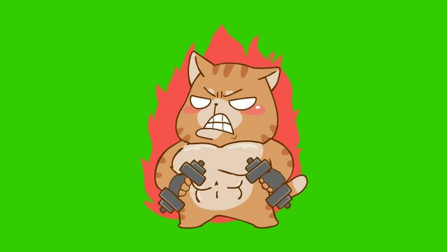 Animated Fat Cat Lifting Weights with Green Screen