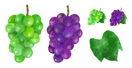 ぶどうの手描きイラスト マスカット 巨峰