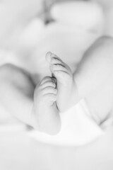 Detail of a newborn baby feet