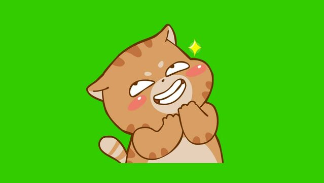 Animated Chubby Cat Laughing Mischievously - Green Screen