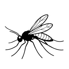 Mosquito vector design logo illustration for insect 