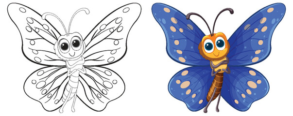 Two stages of butterfly, sketch and colored