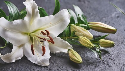close up of white lily, lily of the valley on wooden background, bouquet of tulips on a white, bouquet of white flowers, bouquet of lilies of the valley, coffin is decorated with branch of white lilie