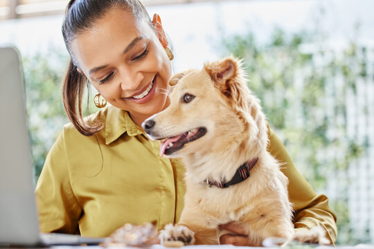 Woman, laptop and dog with remote work from home office for admin, happy or editing for article. Person writer and journalist with pet animal by pc for story lead, info or freelance for media company
