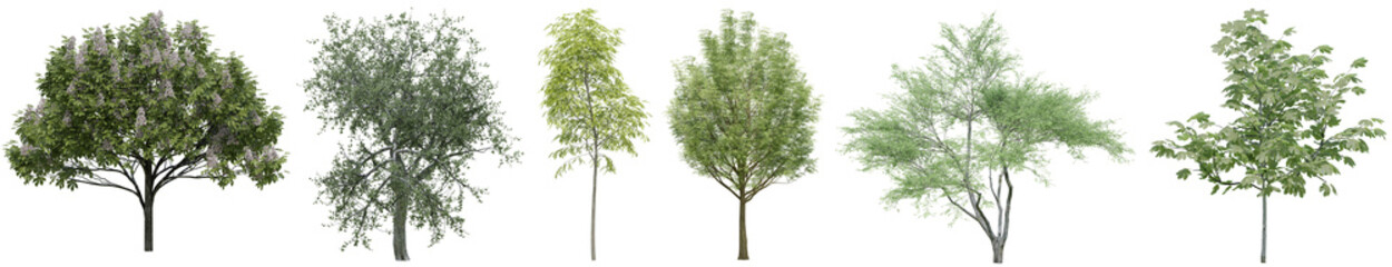 Collection of realistic woods trees with isolated on transparent background. PNG file, 3D rendering illustration, Clip art and cut out