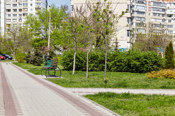 Rest area with bench surrounded by blooming trees and ornamental shrubs in Kyiv, Europe. Place to rest in the city park at spring