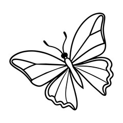 butterfly drawing outline on transparent background