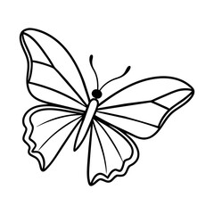 butterfly drawing outline on transparent background