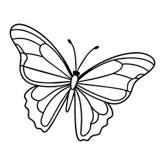 butterfly drawing outline on transparent background