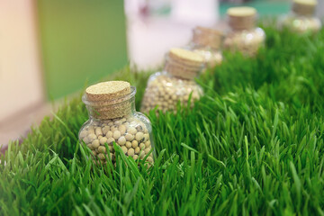 Plant seeds in glass jars and green grass. Organic farming
