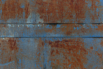Rusty iron sheet of blue painted gate. Space for text. Close-up.