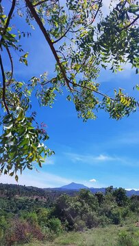 Lush green landscape with overhanging tree branches framing a view of distant Mount Canlaon under a vivid blue sky with a few clouds in Negros Oriental, Philippines
