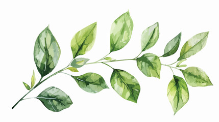 Leaf watercolor. Hand painting floral illustration. 