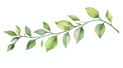 Leaves branch watercolor hand painting floral illustration