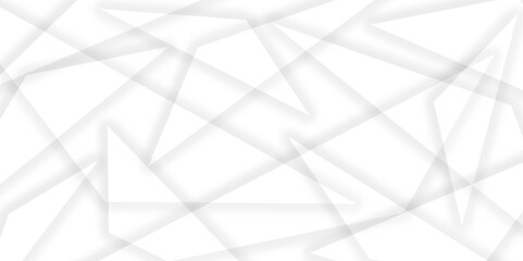 Abstract elegant background white and gray triangle texture. Abstract white and grey geometric overlapping line pattern abstract futuristic background design. data concept. vector illustration.