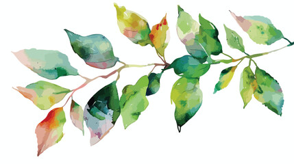 Leaves branch watercolor painting. Hand painting 