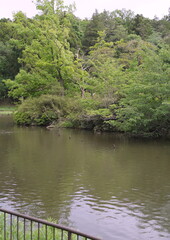 日本、神奈川県横浜市にあるこども自然公園
