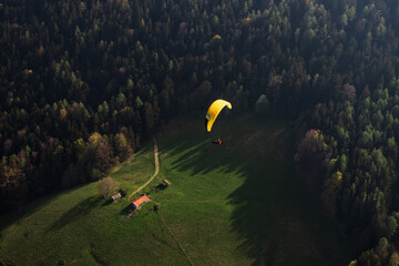 Paraglider
