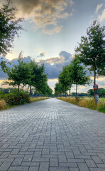 Peaceful rural road lined with trees at sunset, with clouds overhead, creating a serene and calming...